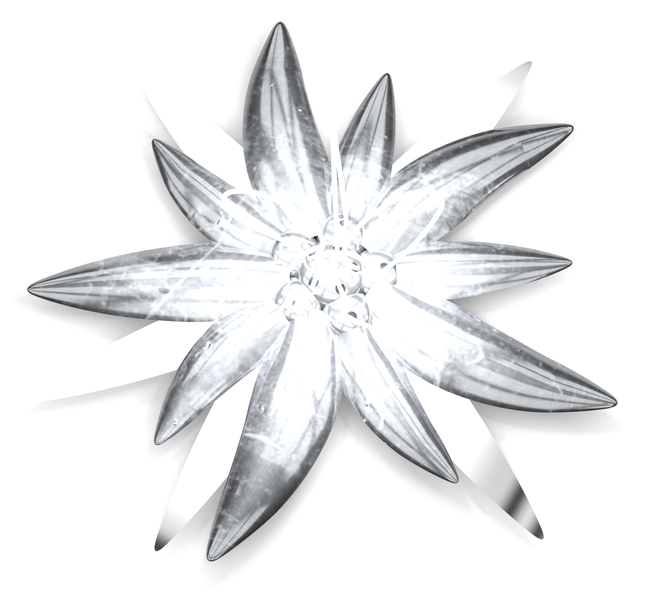 Edelweiss